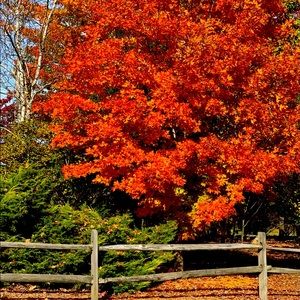 Meet your Posher, Shalanna